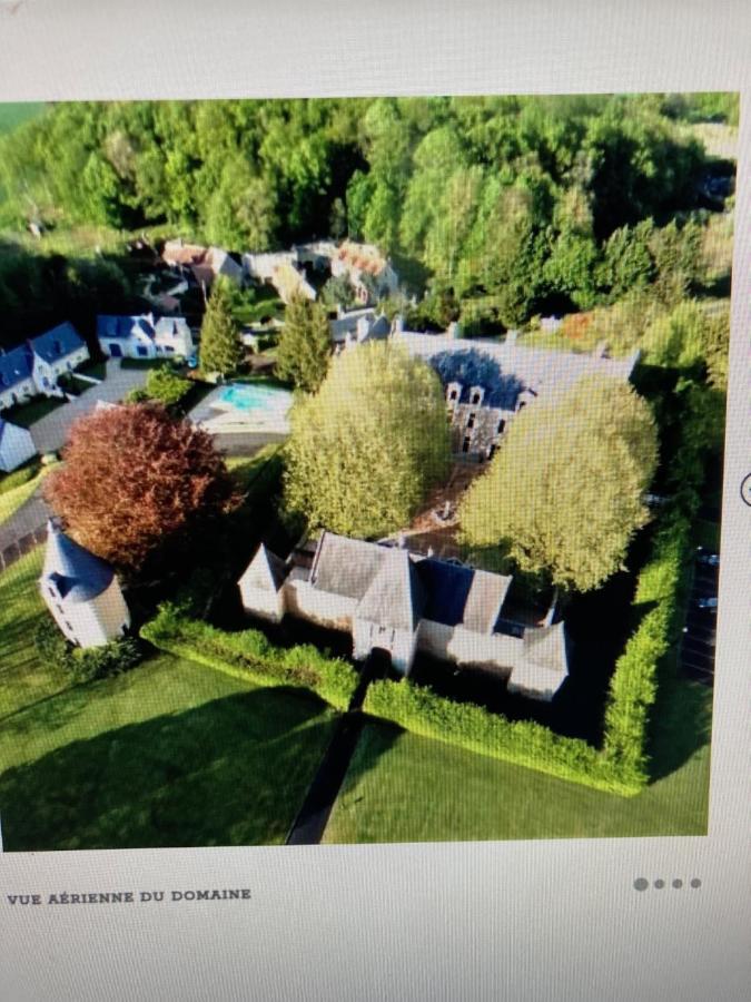 Hotel Chateau De La Menaudiere 3*